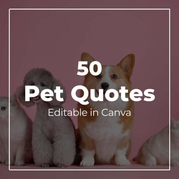 50 Pet Quotes - Canva Editable