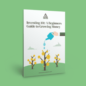 Investing 101 - A Beginners Guide to Growing Money - eBook with PLR Rights