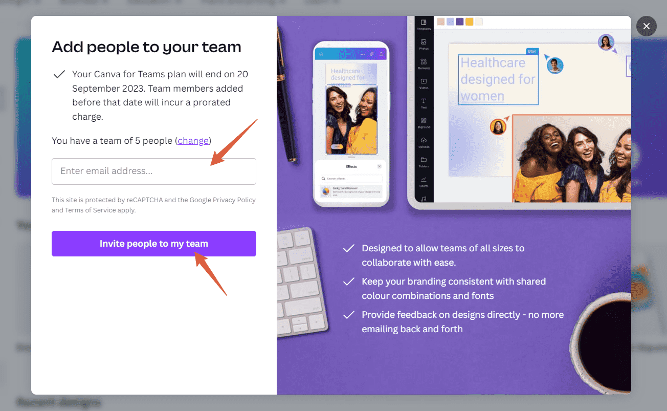 how to add team members in canva